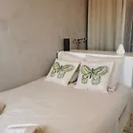 Avec Vue Apartament