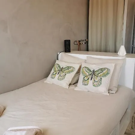 Studio Avec Vue Apartment