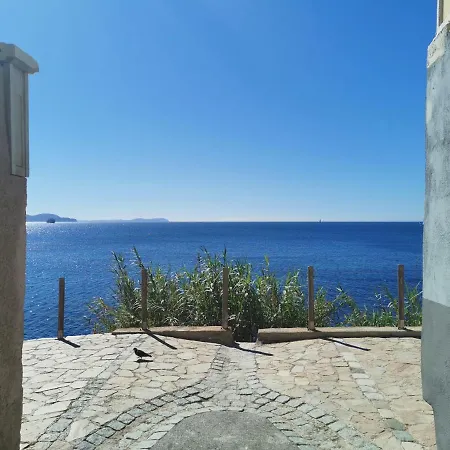 Avec Vue * Toulon